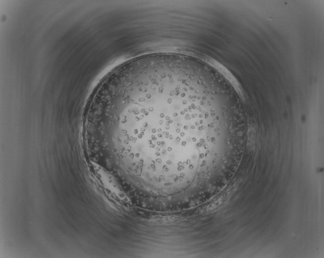 X0000082731051200702091833