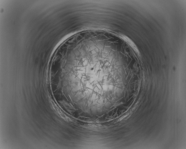 X0000082731052200702091833