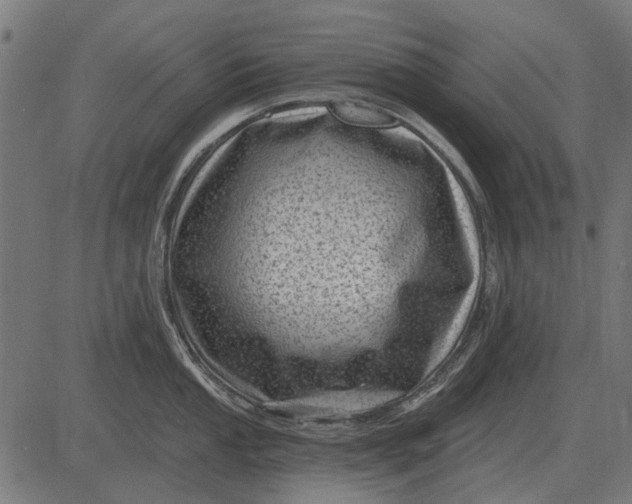 X0000082731053200702091833