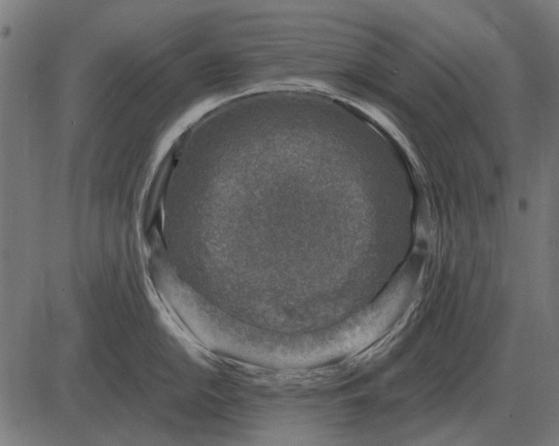 X0000082731054200702091833