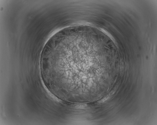 X0000082731055200702091833