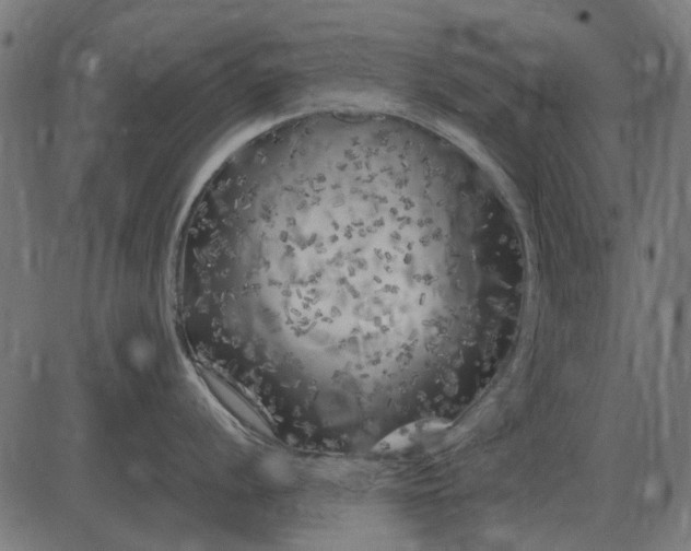 X0000082731056200702091833