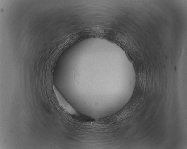 X0000082731057200702091832