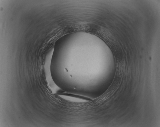 X0000082731058200702091832