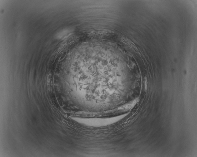 X0000082731059200702091832