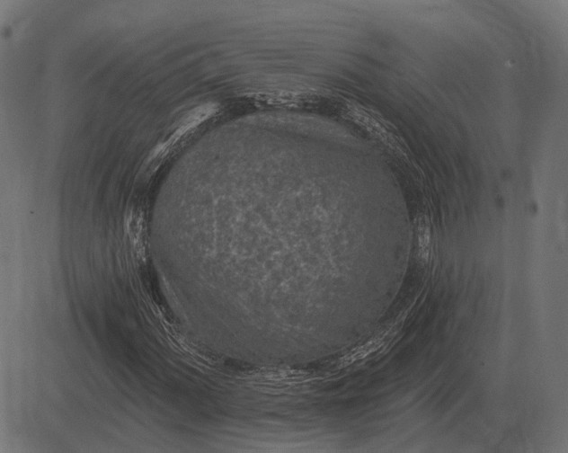 X0000082731060200702091832