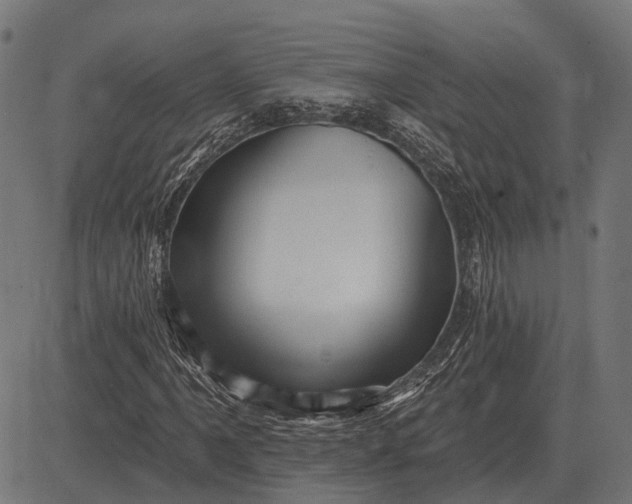 X0000082731061200702091832