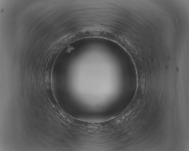 X0000082731062200702091832