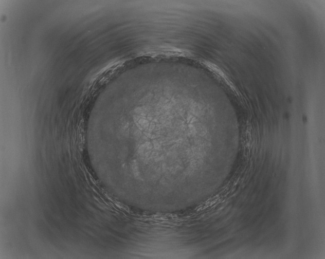 X0000082731063200702091832