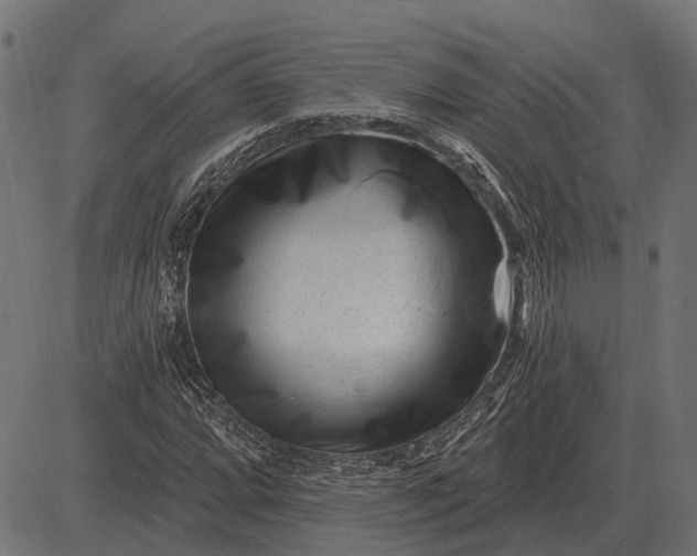 X0000082731064200702091832