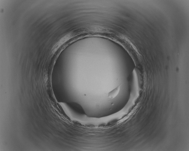 X0000082731065200702091832