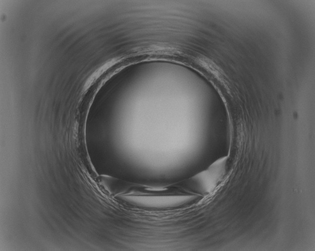 X0000082731066200702091832