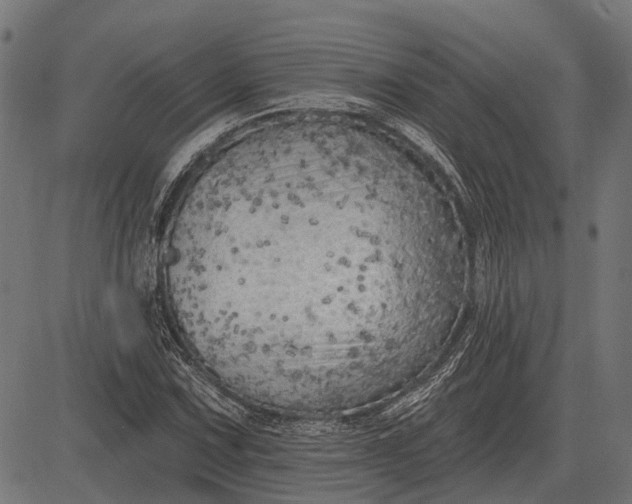 X0000082731067200702091832