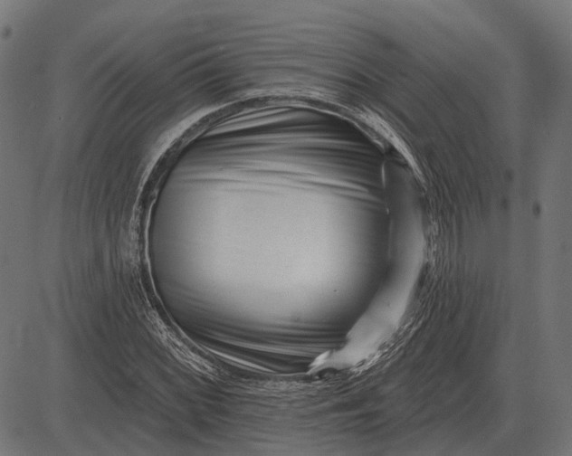 X0000082731068200702091832