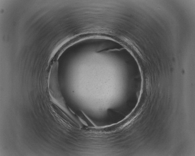 X0000082731069200702091832