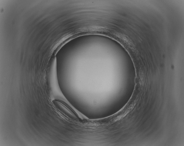 X0000082731073200702091832