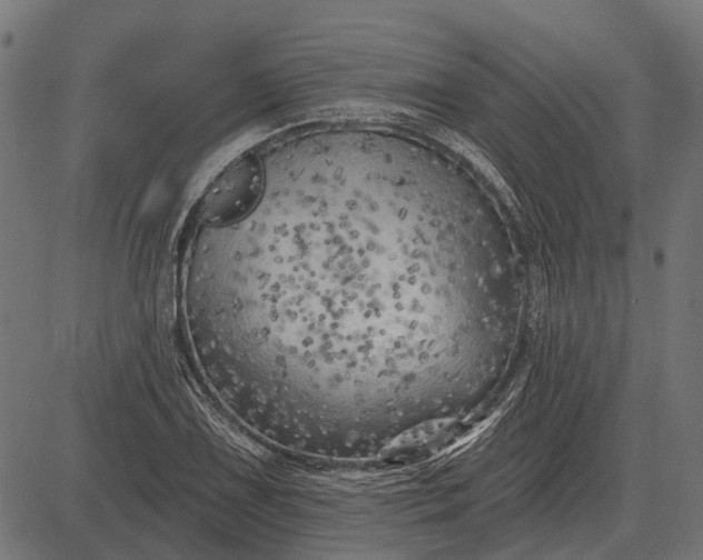 X0000082731075200702091832