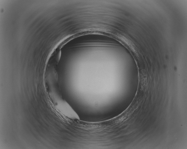 X0000082731076200702091832