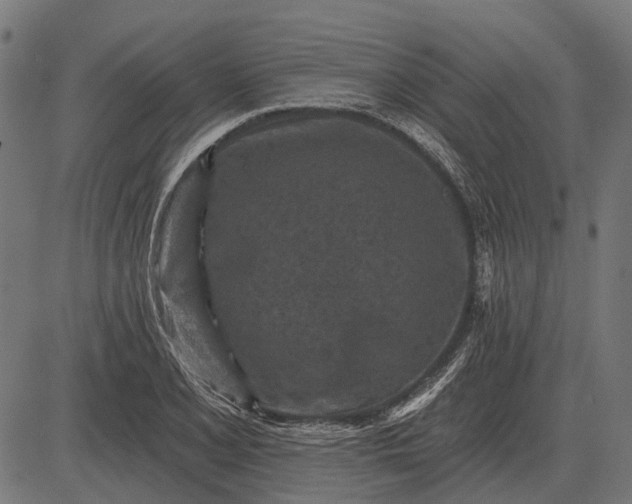 X0000082731077200702091832