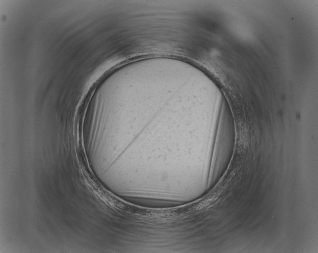 X0000082731078200702091832