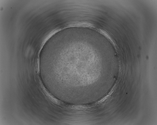 X0000082731079200702091832