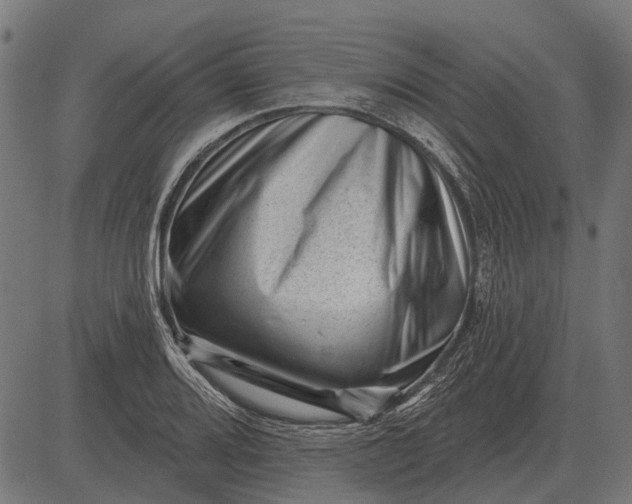 X0000082731080200702091832