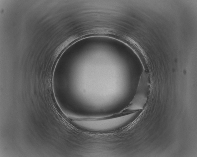 X0000082731081200702091832