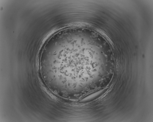 X0000082731083200702091832