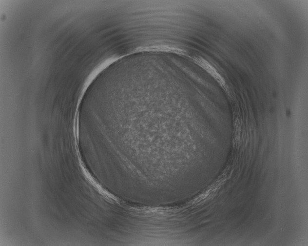 X0000082731084200702091832