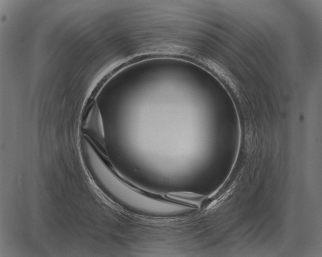 X0000082731085200702091831