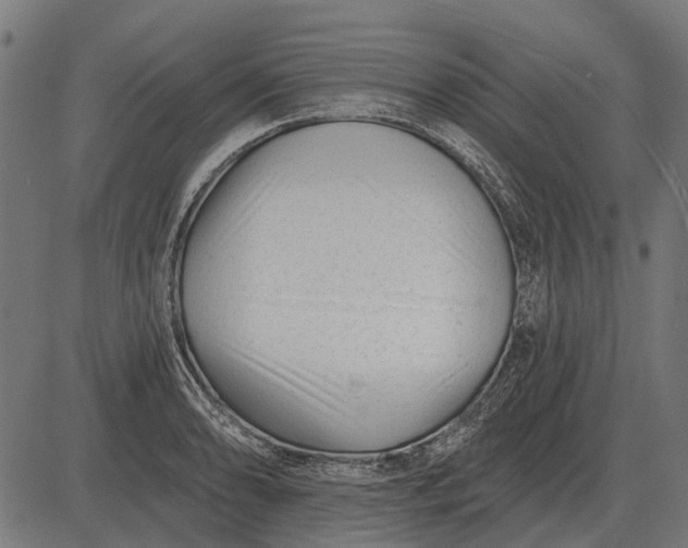 X0000082731086200702091831