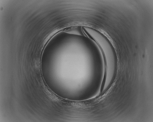 X0000082731089200702091831