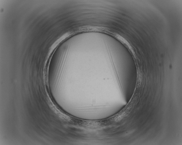 X0000082731090200702091831