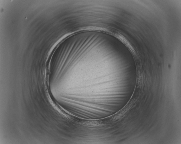 X0000082731092200702091831