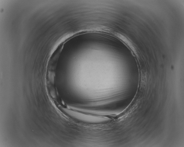 X0000082731093200702091831