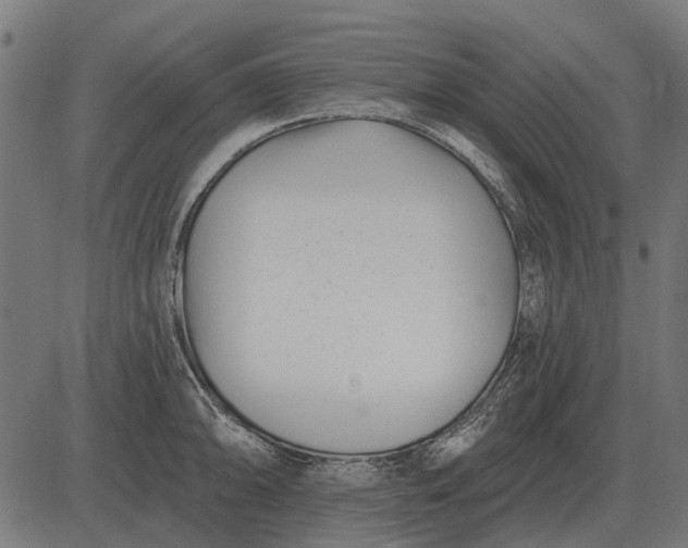 X0000082731094200702091831