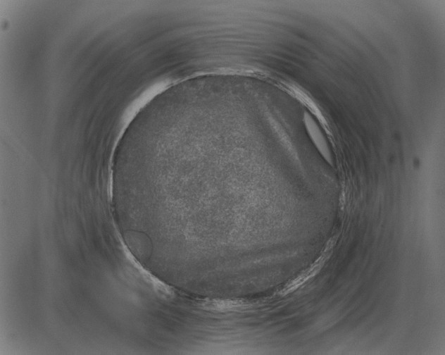 X0000082731095200702091831