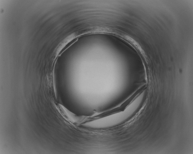 X0000082731097200702091831