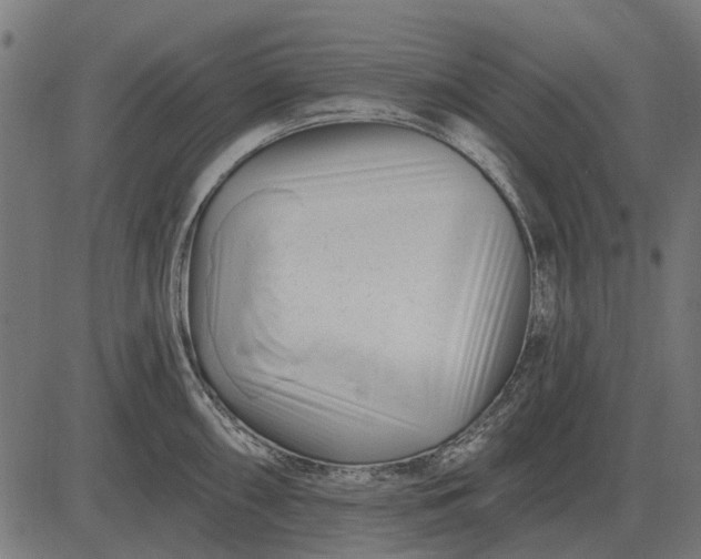 X0000082731098200702091831