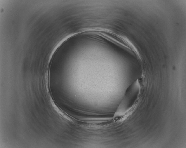 X0000082731100200702091831