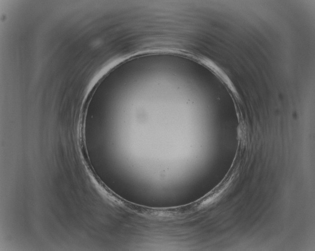 X0000082731101200702091831