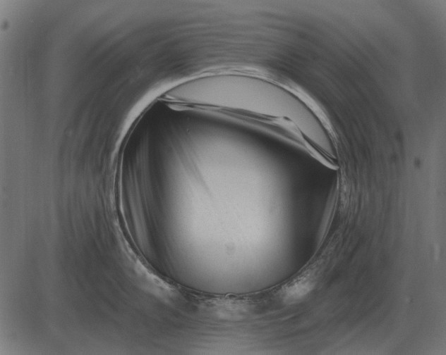 X0000082731102200702091831