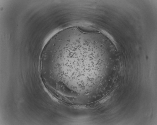 X0000082731103200702091831