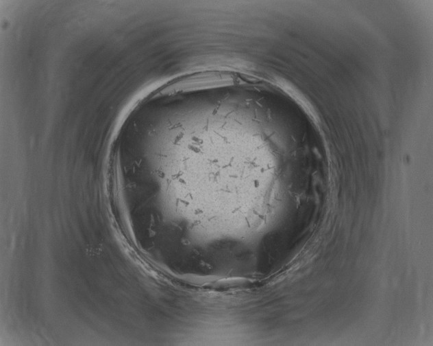 X0000082731104200702091831