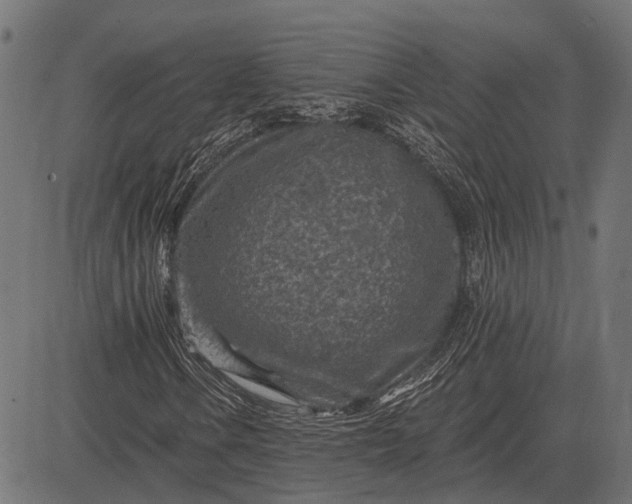 X0000082731106200702091830