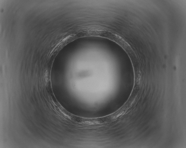 X0000082731108200702091830