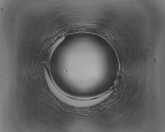 X0000082731109200702091830