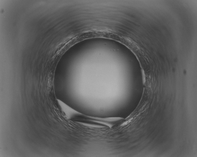 X0000082731110200702091830