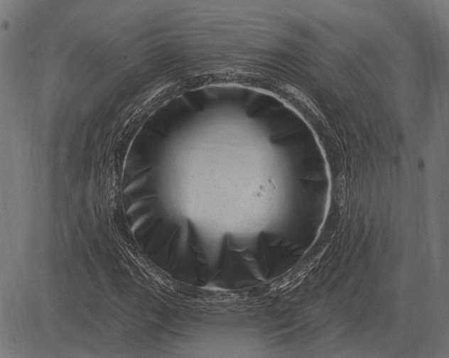 X0000082731111200702091831