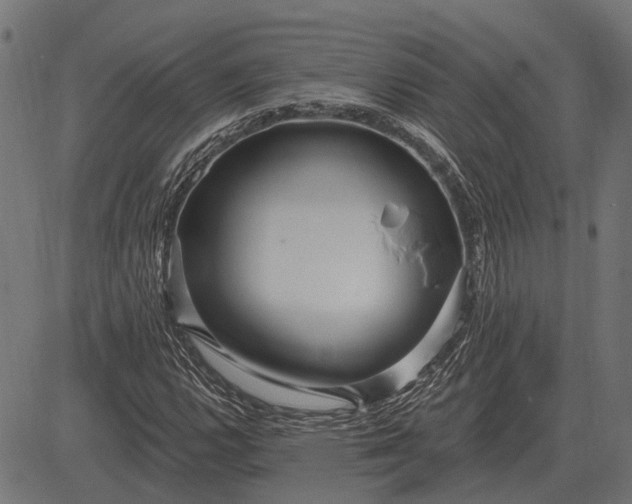 X0000082731112200702091831